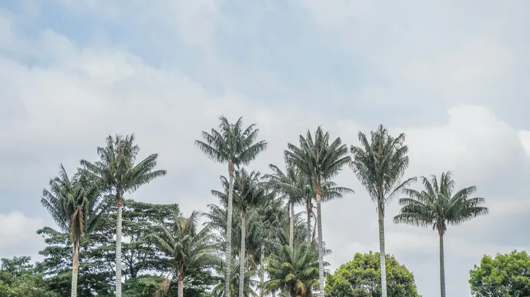 Clima tropical colombiano